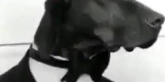 Imagem do grupo de WhatsApp CASOS DE FAMÍLIA 3.0