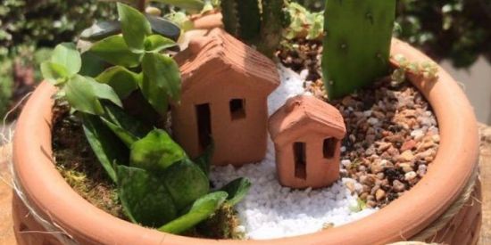 Imagem do grupo de WhatsApp Terrários para decoração