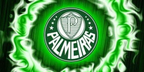 Imagem do grupo de WhatsApp fml palestra 💚