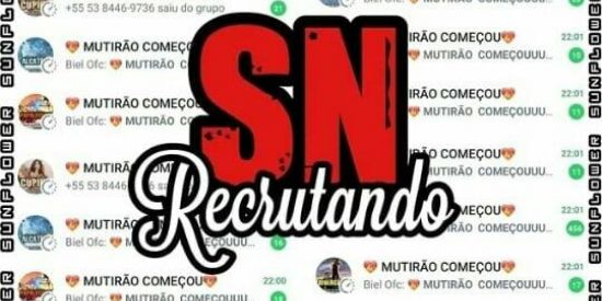 Imagem do grupo de WhatsApp Recruta Sun🏝