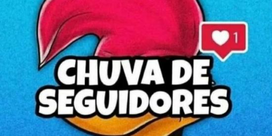 Imagem do grupo de WhatsApp Chove.seguidores200k