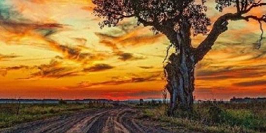 Imagem do grupo de WhatsApp Revelação 💏Mediúnica