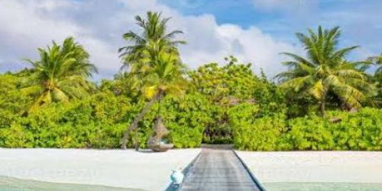 Imagem do grupo de WhatsApp CONSULTAS ESPIRITUAIS.👁️👁️👁️