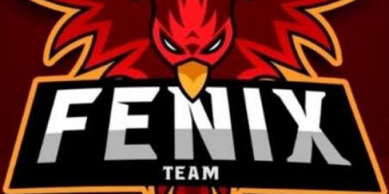Imagem do grupo de WhatsApp EL FENIX