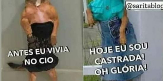 Imagem do grupo de WhatsApp Os 100 noção