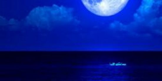 Imagem do grupo de WhatsApp Alcatéia/clã/Diversidade