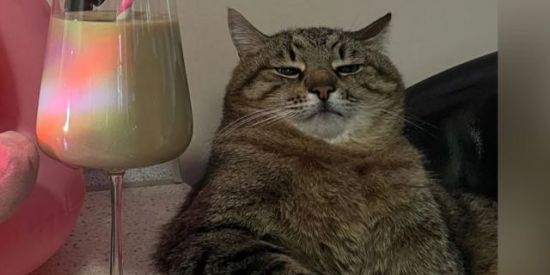 Imagem do grupo de WhatsApp Valorant, mas só os ruins 😼