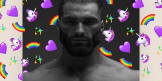 Imagem do grupo de WhatsApp 🪰.flesh hollow