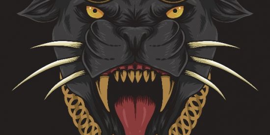 Imagem do grupo de WhatsApp Consultoria - Marcus FREE