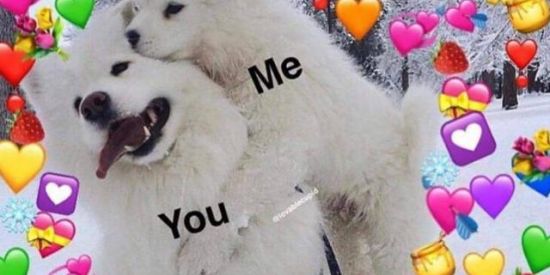 Imagem do grupo de WhatsApp Love u de macho ❤️‍🔥👉👈🌈🏹