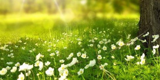 Imagem do grupo de WhatsApp Cristãos sem preconceito