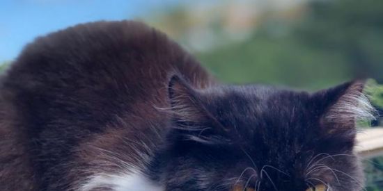 Imagem do grupo de WhatsApp Mensagens cristãs 2022