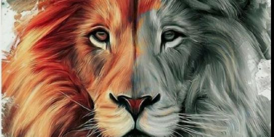 Imagem do grupo de WhatsApp ✨Jesus Te Ama✨