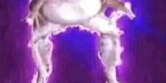 Imagem do grupo de WhatsApp ⠀⠀shitpost dus guri⠀⠀⠀