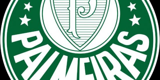 Imagem do grupo de WhatsApp Palmeiras 💫