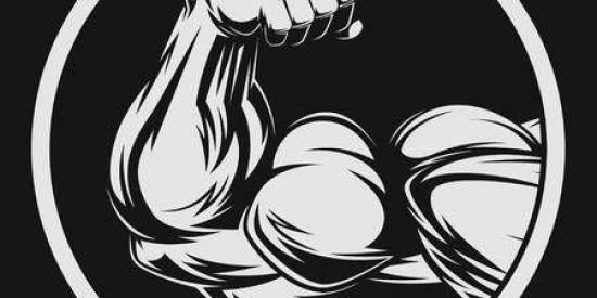 Imagem do grupo de WhatsApp Soldados Disciplinados