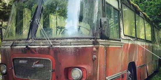 Imagem do grupo de WhatsApp Ponto de Onibus 🚎