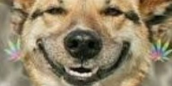 Imagem do grupo de WhatsApp entra ae mano bora conversar