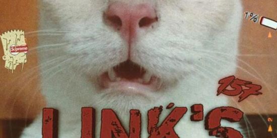 Imagem do grupo de WhatsApp ↯🔥💸፝LINKS ⃟157🍷🔥↯