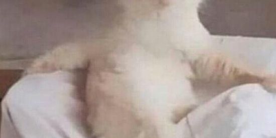 Imagem do grupo de WhatsApp FIATAC RIO DE JANEIRO GRUPO DA ESCOLA