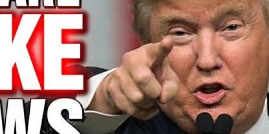 Imagem do grupo de WhatsApp Bizarrices esquerdistas!