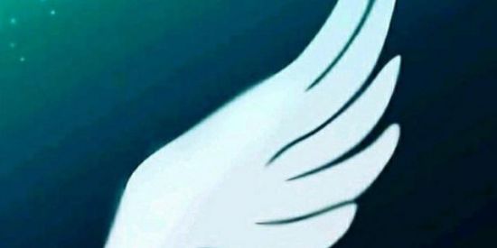 Imagem do grupo de WhatsApp TORCAS/DOAÇÕES DE CONTAS