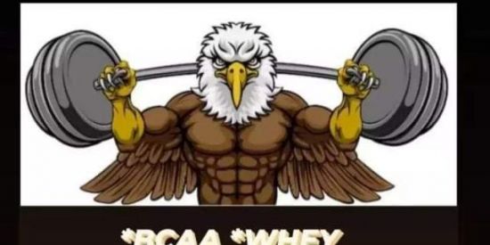 Imagem do grupo de WhatsApp ÁGUIAS SUPLEMENTOS