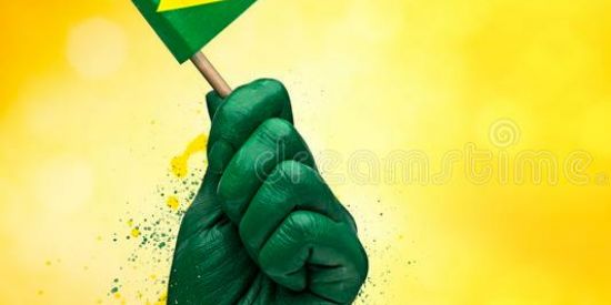 Imagem do grupo de WhatsApp Pré-candidato patriota rs