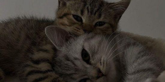 Imagem do grupo de WhatsApp Namoro ou amizade 🔥🙌