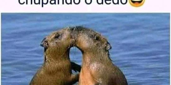 Imagem do grupo de WhatsApp - Namoroo Ou Amizade ♥️