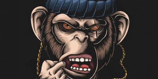 Imagem do grupo de WhatsApp ࿊_Barraquin dos cria_࿊