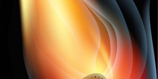 Imagem do grupo de WhatsApp *O Pregador*