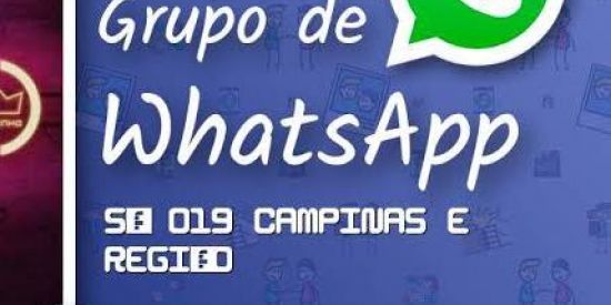 Imagem do grupo de WhatsApp Só 019 Campinas e região
