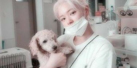 Imagem do grupo de WhatsApp . . 🍡 Fɑiry views ?!