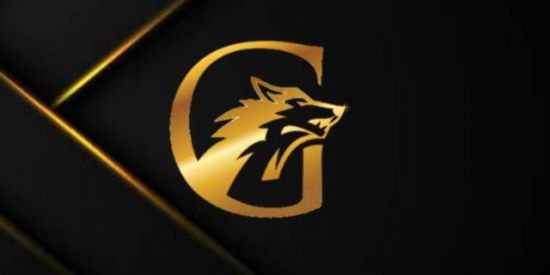 Imagem do grupo de WhatsApp ✨🥇ERA GOLD 🥇✨
