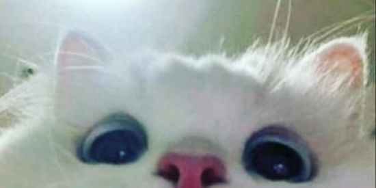 Imagem do grupo de WhatsApp Aleatório😅