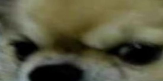 Imagem do grupo de WhatsApp Grupo dos doente