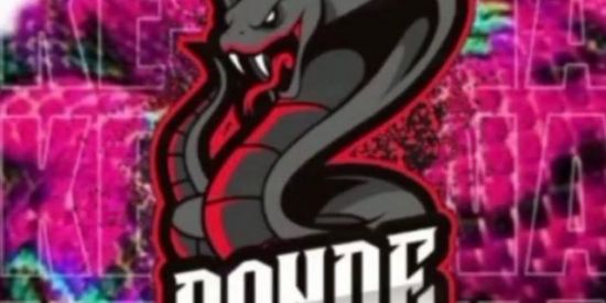 Imagem do grupo de WhatsApp Recrutamento 🐍SN'S🐍