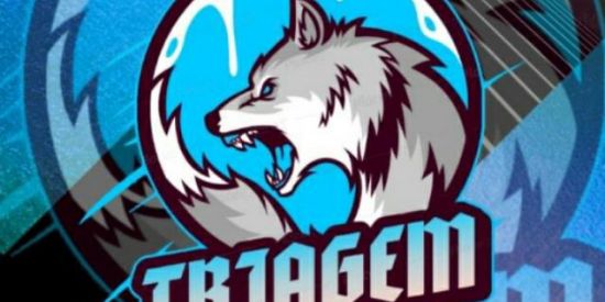 Imagem do grupo de WhatsApp 🕊️ • TRIAGEM EG3 PJL • 🕊️