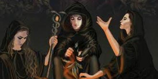 Imagem do grupo de WhatsApp Novos Bruxos