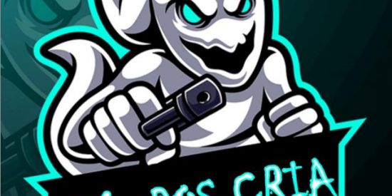 Imagem do grupo de WhatsApp 🔰X1 DOS CRIA 17:00as 19:00🔰