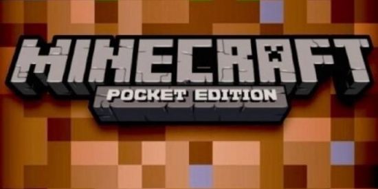 Imagem do grupo de WhatsApp Minecraft pe