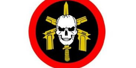 Imagem do grupo de WhatsApp Carreiras policiais 🦅