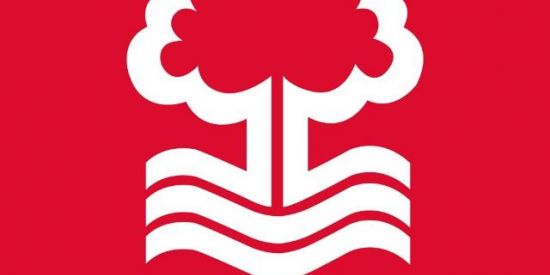 Imagem do grupo de WhatsApp Nottingham Forest BR