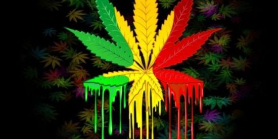 Imagem do grupo de WhatsApp 🕉*VIRADAS-D-A-NOITE*🎭