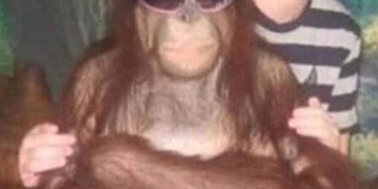 Imagem do grupo de WhatsApp Zueirama