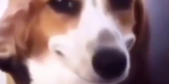 Imagem do grupo de WhatsApp GRUPO DOS RT 👌🏼