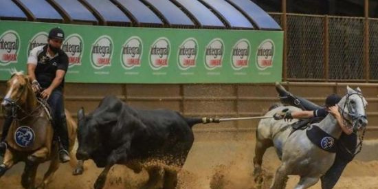 Imagem do grupo de WhatsApp Vaquejada e minha paixão🐎