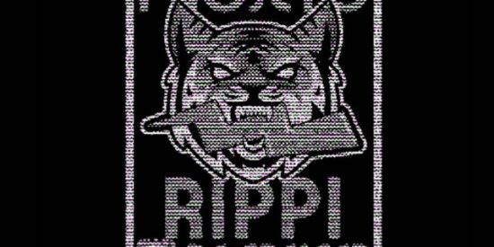 Imagem do grupo de WhatsApp Recrutamento Rippi 📖