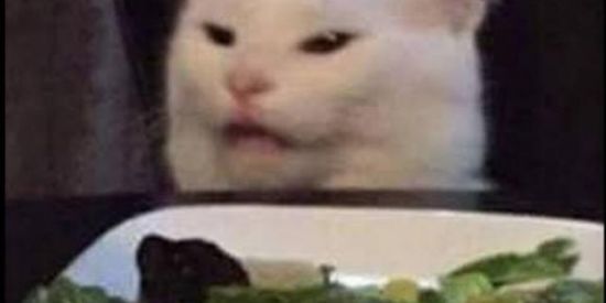 Imagem do grupo de WhatsApp ( ͡° ͜ʖ ͡°)